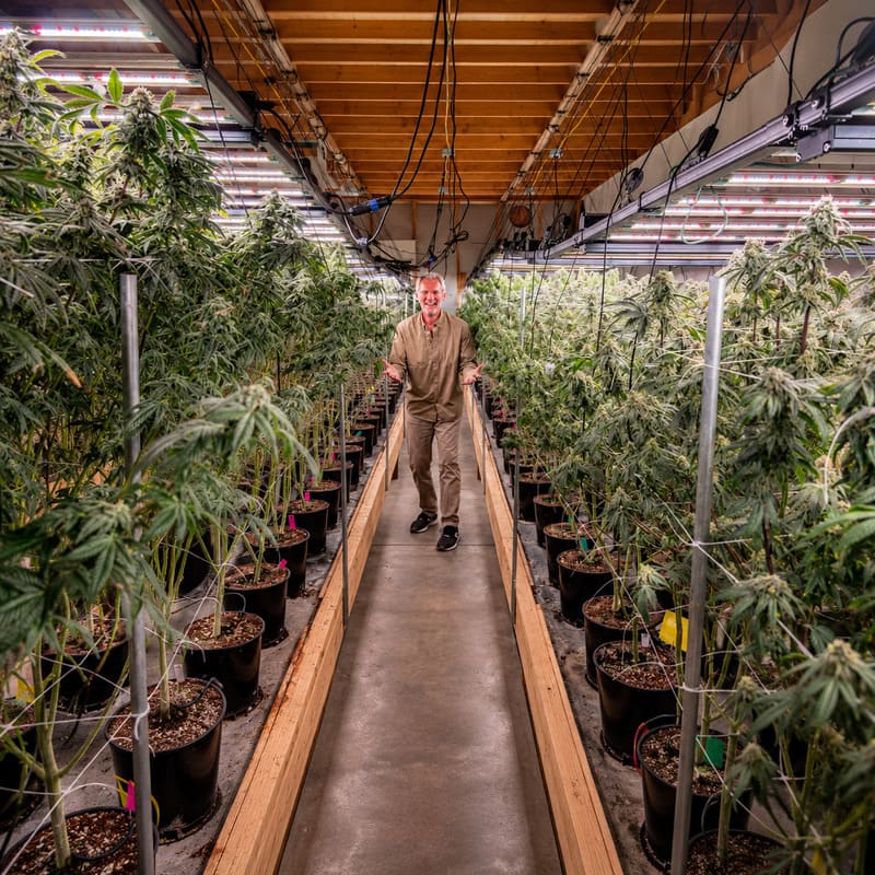 The Hemp Connoisseur